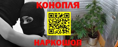 прущая мука Новозыбков