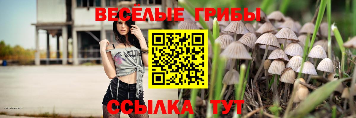 Галлюциногенные грибы Psilocybe Фрязино