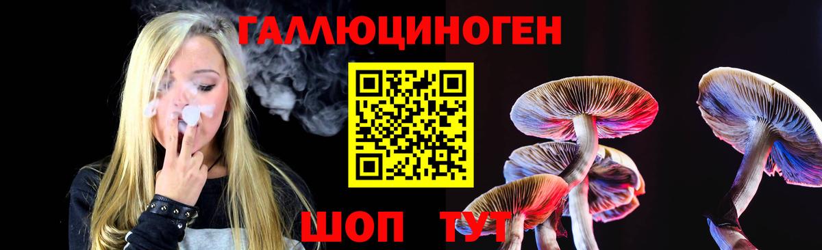 купить закладку  Вход с VPN  Фрязино  Галлюциногенные грибы Psilocybine cubensis 
