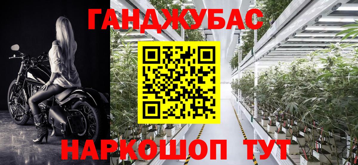 Бошки Шишки план  Канабис AK-47  Вход с VPN  Фрязино  Бошки марихуана MAZAR  МАРИХУАНА MAZAR 